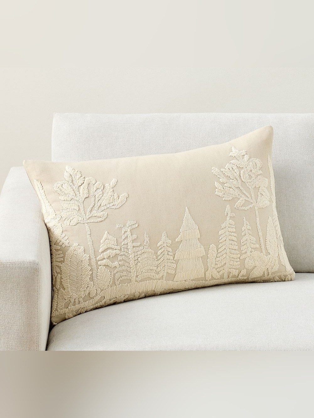 Frosted Pillow Cover